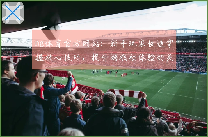 ng体育官方网站：新手玩家快速掌握核心技巧，提升游戏初体验的关键点剖析