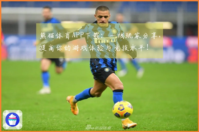 熊猫体育APP下载：一线玩家分享，提高你的游戏体验与竞技水平！