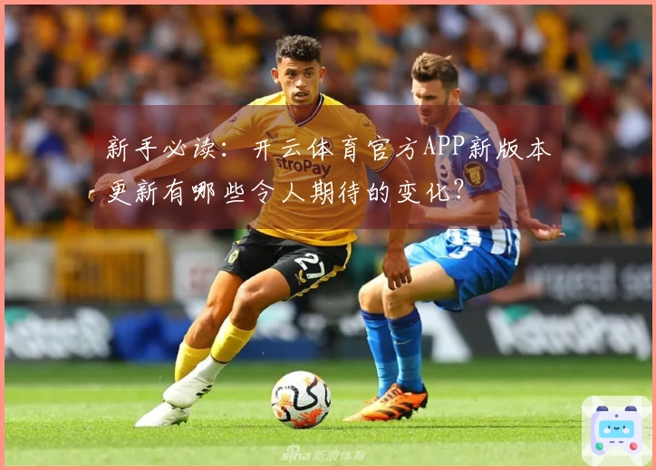新手必读：开云体育官方APP新版本更新有哪些令人期待的变化？