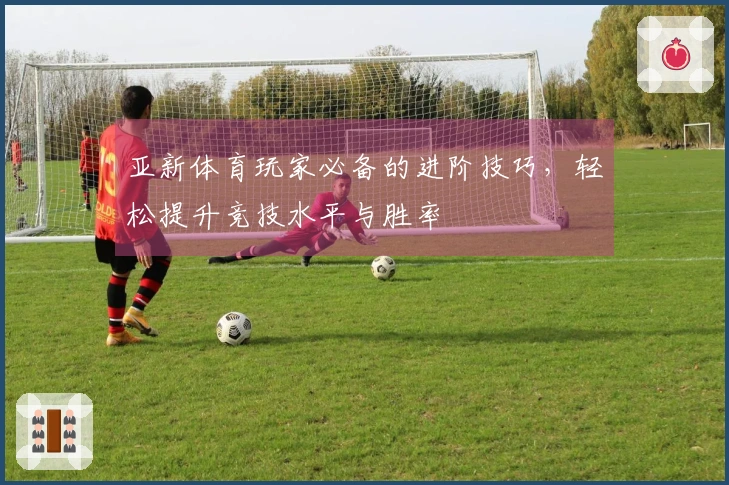 亚新体育玩家必备的进阶技巧，轻松提升竞技水平与胜率